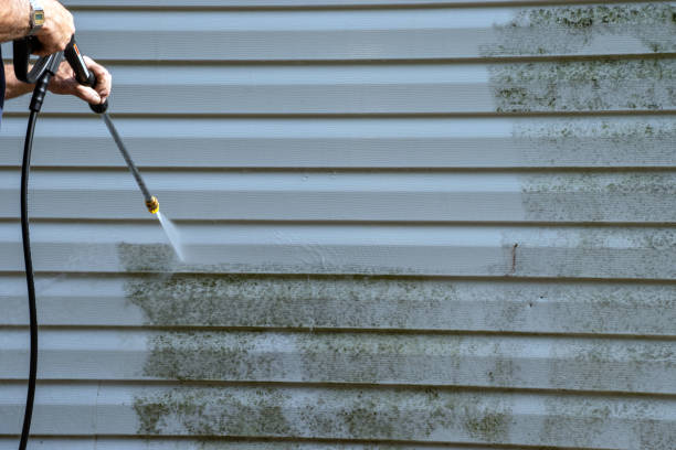 Best Demolition Debris Removal  in Goodman, MO