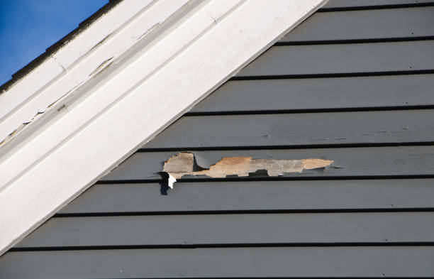 Best Hoarding Cleanup  in Goodman, MO